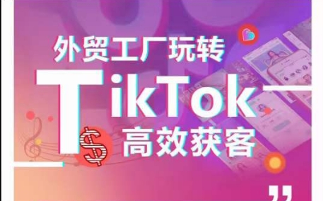 外贸工厂玩转TikTok高效获客，多种引流方式与账号定位技巧，拆解爆款短视频打造成功案例-第一资源网