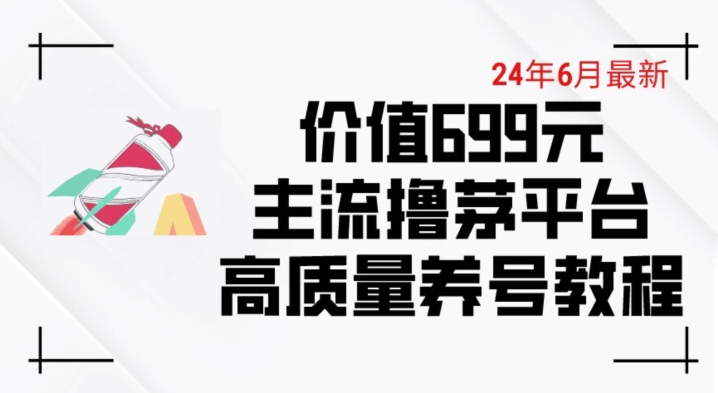 6月最新价值699的主流撸茅台平台精品养号下车攻略【揭秘】-第一资源网