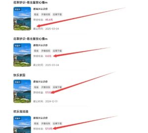 磁力聚星游戏副业陪跑训练营1.0,长期稳定项目,有人一周干了1K+-第一资源网