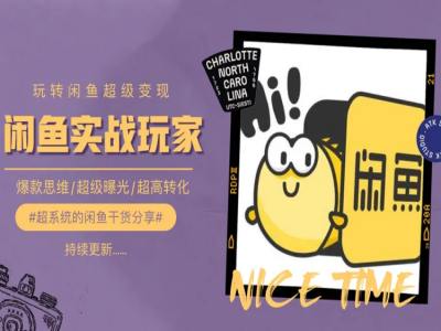 手把手教你0到1系统玩转闲鱼变现，爆款思维/超级曝光/超高转化-第一资源网