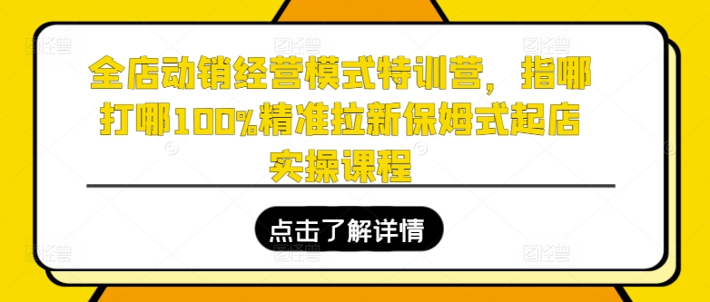 全店动销经营模式特训营，指哪打哪100%精准拉新保姆式起店实操课程-第一资源网