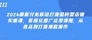 2024最新付免联动打造盈利型店铺实操课,系统化推广运营课程,从选品到打造爆款操作-第一资源网