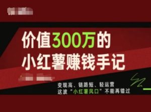 价值300万的小红书赚钱手记,变现高、链路短、轻运营,这波“小红薯风口”不能再错过-第一资源网
