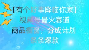 【有个好事降临你家】视频号爆火赛道,商品橱窗,分成计划,条条爆款【揭秘】-第一资源网