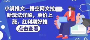 小说推文—悟空网文拉新玩法详解,单价上涨,红利期好推-第一资源网