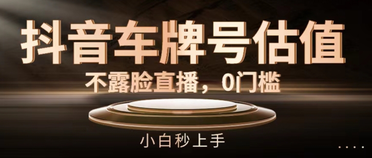 抖音车牌号估值，不露脸直播，0门槛，小白秒上手【揭秘】-第一资源网