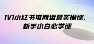 1V1小红书电商运营实操课,新手小白必学课-第一资源网