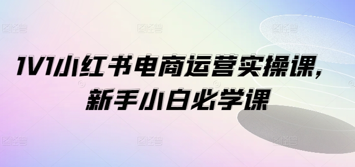 1V1小红书电商运营实操课，新手小白必学课-第一资源网