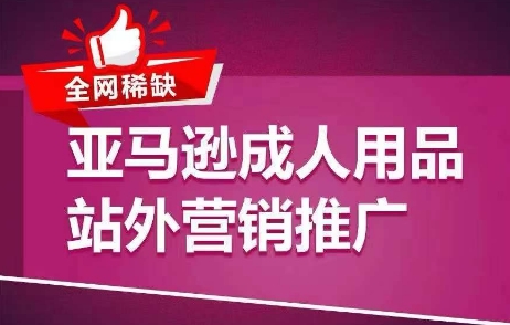 全网稀缺！亚马逊成人用品站外营销推广，​教你引爆站外流量，开启爆单模式-第一资源网