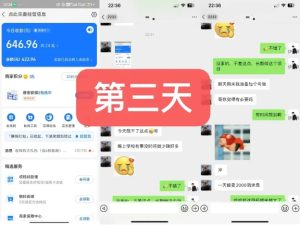 货币掘金项目,3天卖了2720!新项目内测组【限10人】-第一资源网