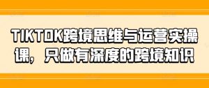 TIKTOK跨境思维与运营实操课,只做有深度的跨境知识-第一资源网