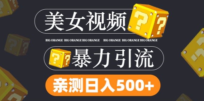 搬运tk美女视频全网分发，日引s粉300+，轻松变现，不限流量不封号【揭秘】-第一资源网