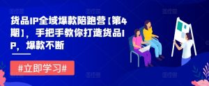 货品IP全域爆款陪跑营【第4期】,手把手教你打造货品IP,爆款不断-第一资源网