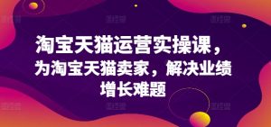 淘宝天猫运营实操课,为淘宝天猫卖家,解决业绩增长难题-第一资源网