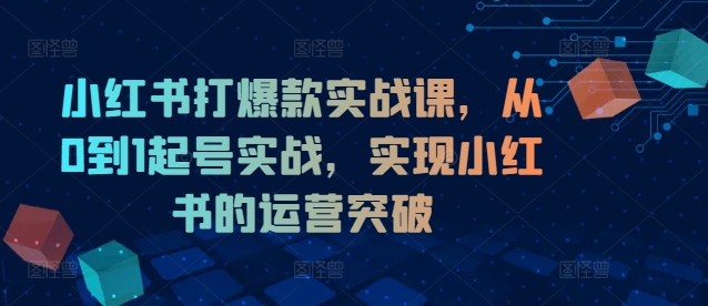 小红书打爆款实战课，从0到1起号实战，实现小红书的运营突破-第一资源网