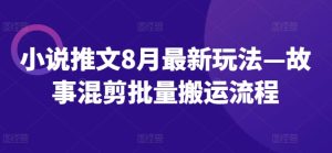 小说推文8月最新玩法—故事混剪批量搬运流程-第一资源网