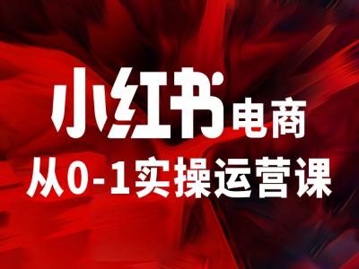 小红书电商从0-1实操运营课，让你从小白到精英-第一资源网