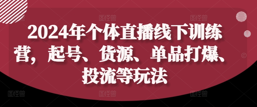 2024年个体直播训练营，起号、货源、单品打爆、投流等玩法-第一资源网