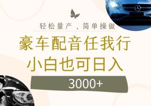 不为人知的暴力小项目,豪车配音,日入几张【揭秘】-第一资源网