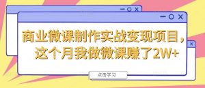 商业微课制作实战变现项目,这个月我做微课赚了2W+-第一资源网