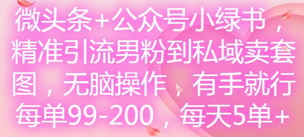 微头条+公众号小绿书，精准引流男粉到私域卖套图，无脑操作，有手就行，每单99-200，每天5单-第一资源网