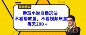 番茄小说自撸玩法,不看播放量,不看视频质量,每天200+【揭秘】-第一资源网
