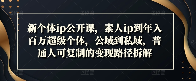 新个体ip公开课，素人ip到年入百万超级个体，公域到私域，普通人可复制的变现路径拆解-第一资源网