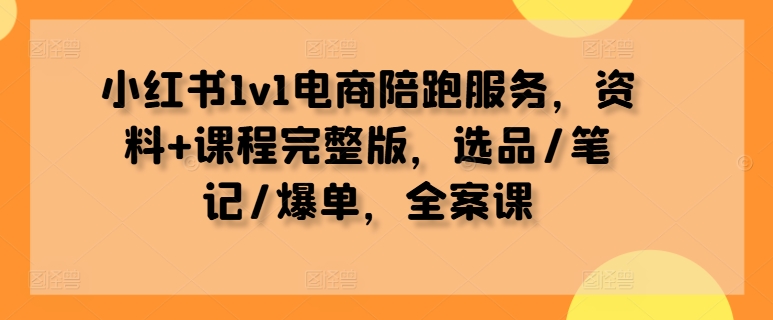 小红书1v1电商陪跑服务，资料+课程完整版，选品/笔记/爆单，全案课-第一资源网
