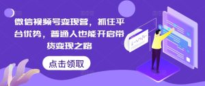 微信视频号变现营,抓住平台优势,普通人也能开启带货变现之路-第一资源网