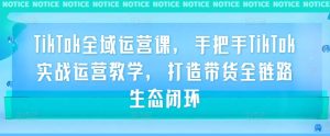 TikTok全域运营课,手把手TikTok实战运营教学,打造带货全链路生态闭环-第一资源网