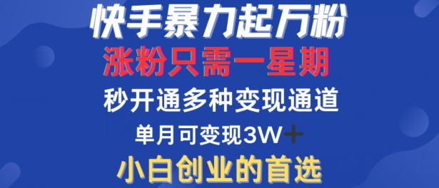 快手暴力起万粉，涨粉只需一星期，多种变现模式，直接秒开万合，单月变现过W【揭秘】-第一资源网