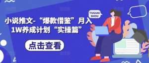 小说推文-“爆款借鉴”月入1W养成计划“实操篇”-第一资源网