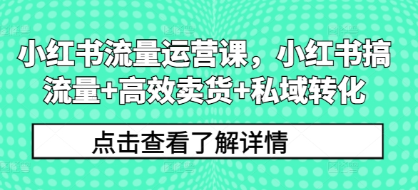 小红书流量运营课，小红书搞流量+高效卖货+私域转化-第一资源网