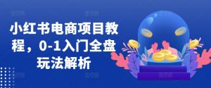 小红书电商项目教程,0-1入门全盘玩法解析-第一资源网