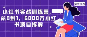小红书实战训练营,从0到1,6000万小红书项目拆解-第一资源网