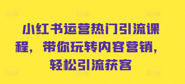 小红书运营热门引流课程，带你玩转内容营销，轻松引流获客-第一资源网