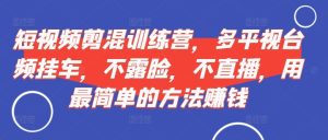 短视频剪混训练营,多平视台频挂车,不露脸,不直播,用最简单的方法赚钱-第一资源网