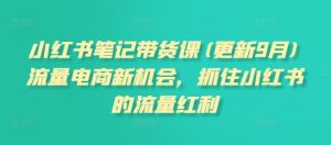 小红书笔记带货课(更新10月)流量电商新机会,抓住小红书的流量红利-第一资源网