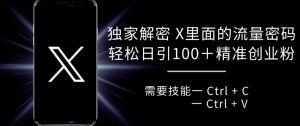 独家解密 X 里面的流量密码,复制粘贴轻松日引100+-第一资源网