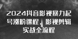 2024抖音影视暴力起号涨粉课程,影视剪辑搬运实战全流程-第一资源网
