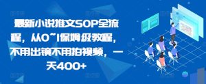 最新小说推文SOP全流程,从0~1保姆级教程,不用出镜不用拍视频,一天400+-第一资源网