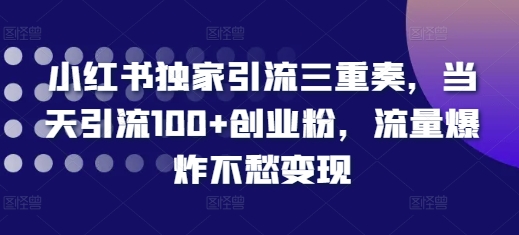 小红书独家引流三重奏，当天引流100+创业粉，流量爆炸不愁变现【揭秘】-第一资源网