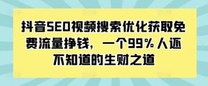 抖音SEO视频搜索优化获取免费流量挣钱,一个99%人还不知道的生财之道-第一资源网