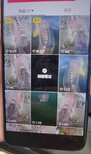 外面卖399的国学佛像原创暴力起号技术，快速起号，7天可达到一个万粉号-第一资源网