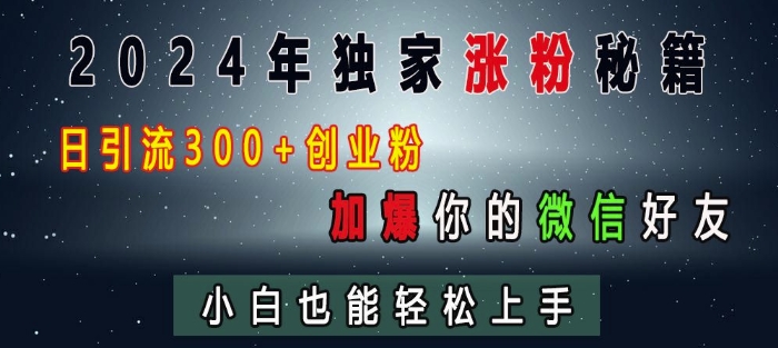 2024年独家涨粉秘籍，日引流300+创业粉，加爆你的微信好友，小白也能轻松上手-第一资源网