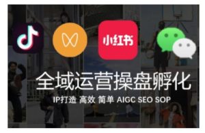 全域运营操盘(抖音+私域+小红书),IP打造高效简单-第一资源网