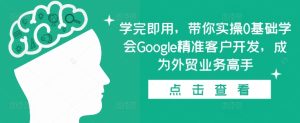 学完即用,带你实操0基础学会Google精准客户开发,成为外贸业务高手-第一资源网