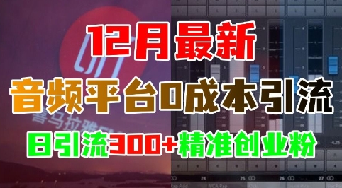 12月最新：音频平台0成本引流，日引流300+精准创业粉-第一资源网