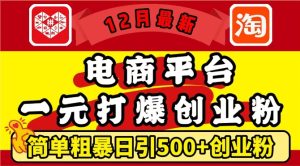 12月最新:电商平台1元打爆创业粉,简单粗暴日引500+精准创业粉,轻松月入过W【揭秘】-第一资源网