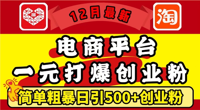 12月最新：电商平台1元打爆创业粉，简单粗暴日引500+精准创业粉，轻松月入过W【揭秘】-第一资源网